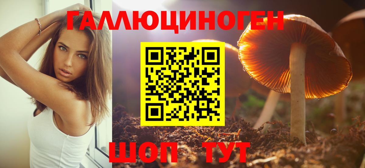 Псилоцибиновые грибы Magic Shrooms  Вход с VPN  Родники 